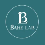 professional logo design project by freelance digital marketing strategist in kannur