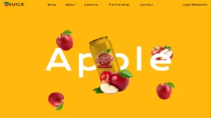 professional web development&design project by freelance digital marketing strategist in kannur