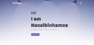 professional web development&design project by freelance digital marketing strategist in kannur