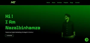 professional web development&design project by freelance digital marketing strategist in kannur