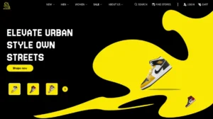 professional web development&design project by freelance digital marketing strategist in kannur