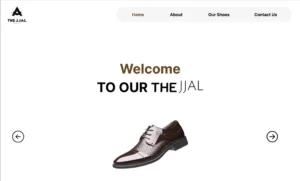 professional web development&design project by freelance digital marketing strategist in kannur